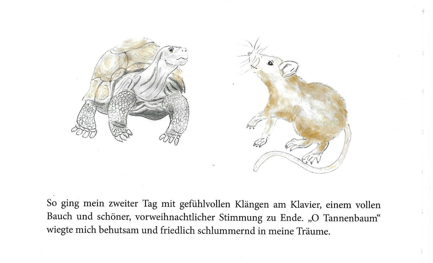 Ratte Rasmus und die Schildkröte